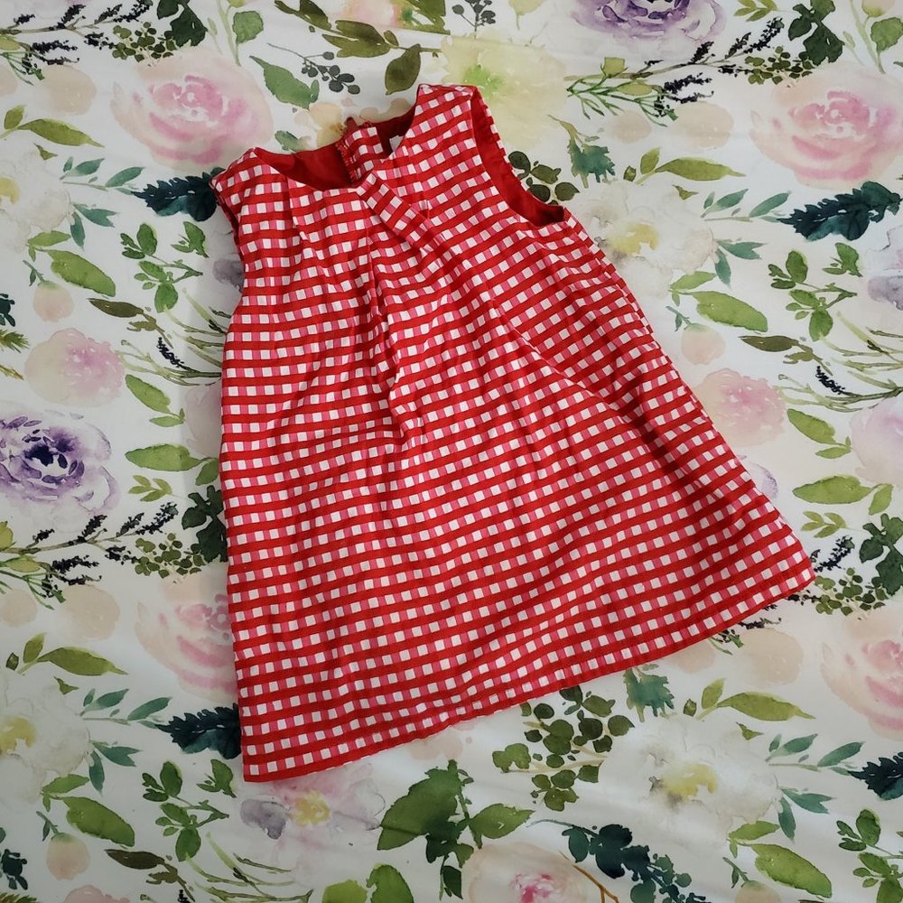 Red Gingham Dress
